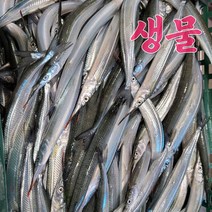 청정바다 통영 제철 학꽁치 1kg 생물/냉동, 1팩, 학꽁치(생물) 1kg
