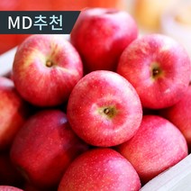 [당일수확] 햇 빨간사과 가정용 고당도 꿀사과 홍로 부사 사과, 1박스, 4.5kg 중소과(20-22과)