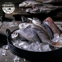 여수 국내산 반건조 생선 골라담기 말린 우럭 서대 박대 민어 참돔 병어 제수용 모듬, 포열기 대