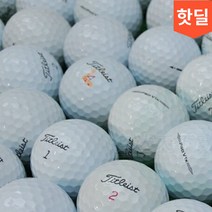 골프 메이저브랜드 화이트 장타 연습볼 로스트골프공 중고볼 10개 세트, 혼합 연습볼 B급 20알