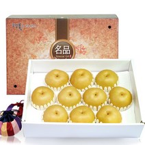 [발송일예약]소담촌 VIP고급선물용 나주배선물세트 7.5kg(7-10과)대과, 9월19일~9월21일발송
