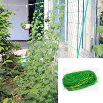 넝쿨 지지망 그물 고추그물망 과수원 방조망 포도 오이 농작물, 3.6x1.8