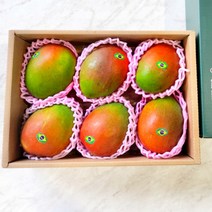 브라질 애플망고 선물세트 2.8kg 내외 6입