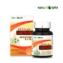 내츄럴가이아 혈행개선에 좋은 나토키나제 60정 2개월