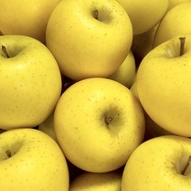 아삭아삭 고당도 프리미엄 시나노골드사과, 3kg 소과 (18-25과), 1개