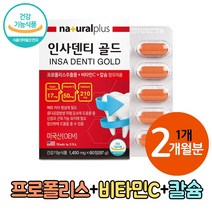 인사 덴티 골드 프로폴리스 추출물 칼슘 플라보노이드 치아 잇몸 영양제