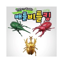 2000 배틀 비틀킹 1개 랜덤발송