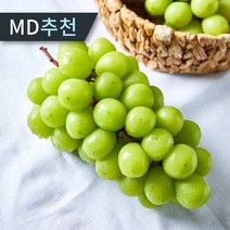 [농장직송] 프리미엄 고당도 김천 샤인머스켓 수출용 특품, 1개, 샤인머스켓 2kg 왕특품 (2송이)