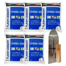 베이루 빨리굳는시멘트 회색 1kg 5개+흙손세트 시멘트 금간곳보수 계단보수 초속경 미장, 빨리굳는시멘트 회색 1kg 5개+흙손