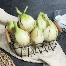 햇양파 국내산양파 못난이양파 4kg, 1개