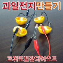 하bire_과학실험 과일전지키트 교구 교재 만들기 교육용 학습♥rel, ♥relationship!
