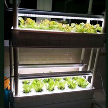 가정용식물재배기 수태봉 LED 집에서콩나물키우기 숙주나물 필립스식물등, 1단, 선택안함, 그레이, 1개