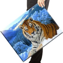 [당일 국내발송] 보석십자수 캔버스형 액자 세트 40x50cm, Q28모델