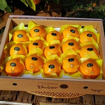 - 7일간반짝할인 - 제주천혜향 5kg(16~22수대과 선물용 ) 그윽한 향과 팡팡 터지는 과즙 오감만족 품격있는 과일선물세트, 1박스