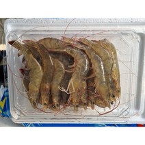 국산 신안 흰다리새우 1kg 대하 왕새우 생새우 제철 급냉