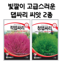 댑싸리 씨앗 2종 적 뎁싸리 청뎁싸리 씨앗 종자 대싸리 댑싸리 키우기 코키아 홍 뎁싸리
