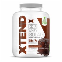 엑스텐드 프로틴 프로웨이 WPI 단백질 초코맛 64일분 정식제품, 상품+블랜더보틀 쉐이커클래식830ml그레이