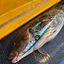 롱지그 LJG004 메탈지그 빅게임 지깅메탈 부시리 방어 삼치 대구 메탈, 500g, 01 실버