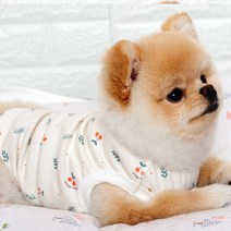 강아지옷 국내산 오가닉 실내복 잠옷 노령견옷, 2.체리썸