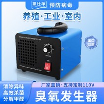 가정용 소형 오존발생기 산소 청정기 생성기 정화 공기 살균 애완동물, 10g-H
