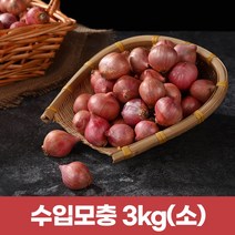수입모충 샬롯 작은양파3kg (작은사이즈), 1개