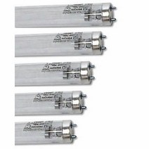 클레이쇼핑 자외선램프 6와트 (210mm) 소독기램프 인테리어 조명 거실등 부엌등 서재등 안방등 실내등 야외, 본상품
