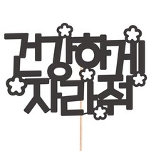 비비드레인 메세지픽 케이크토퍼, 1개, 67-건강하게자라줘