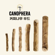 카노페헤라 강아지 커피나무 우드스틱 치석제거 이갈이 장난감 XL, 혼합색상, 1개