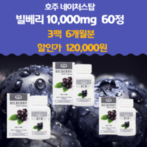 호주 60정 빌베리 X 3병 눈건강엔 네이처스탑, 호주 네이처스탑 눈건강엔 빌베리 60정 X 3
