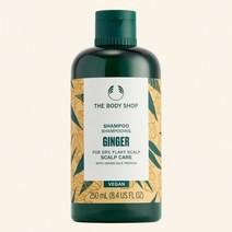 더바디샵 진저 스캘프 케어 샴푸 250ML(null), 1, 250