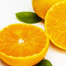 제주 고급과일 황금향 로얄과 5kg(선물용)