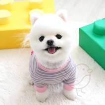새임 스트라이프티셔츠 핑크 반려견여름옷 포메라니안옷 스탠다드푸들옷, M
