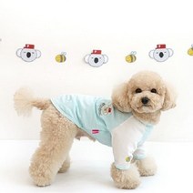 애견티셔츠 블루 강아지 올인원 원피스 생일선물, M