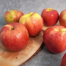 [미식한가] 경북 햇 홍로 사과 2kg (가정용), 1박스, 홍로 사과 가정용 2kg 7-9과