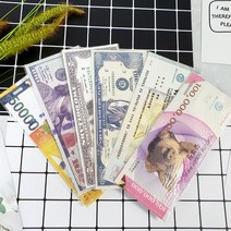 [뽀찌버디나비]골프악세사리 버디나비 지폐방수지갑 캔버스재질 5가지 종류, 1장, 100달러