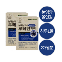 눈에좋은영양제 눈영양제올인원 어린이 초등학생 중학생 루테인 비타민A E B2 B6 아연