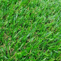 인조잔디 조경 뉴 투톤 롤 잔디매트 폭1M X 5M(20mm), 인조잔디 1MX5M(20mm)