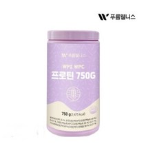 푸름웰니스 WPI WPC 프로틴 750g +내장스푼 세트 푸름웰니스 WPI WPC 프로틴 750G 식물성 단백질 파우더 보충제, 1개