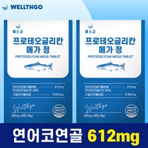 웰스고 프로테오글리칸 메가 정 360mg 프로태오글리칸 연어코연골 추출물 프로테오클리칸, 2개, 600mg, 60정