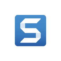 TechSmith Snagit 2021 기업용 ESD / 스내그잇 2021, 단품