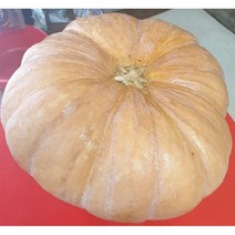 향산 왕호박즙100포 출산필수 준비물 수술전후붓기제거 원기회복 다이어트, 110, 30포, 110ml