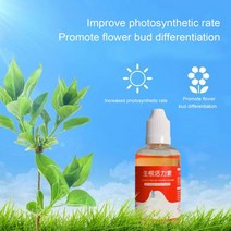 식물 성장 촉진제 보충제 발근 촉진 장미 제비꽃 다육 식물용 생산 개발 50ml, Default