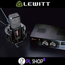 LEWITT LCT840 르윗840 스튜디오 진공관 컨덴서 마이크