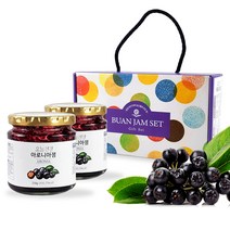 아로니아잼 250g2개 선물세트 안토시아닌 눈건강 킹스베리 초크베리 블랙푸드 슈퍼푸드 국내산 폴리페놀