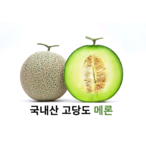 국내산 신선한 고당도 메론 6~7kg 국산 멜론 머스크멜론 세지멜론 나주멜론 꿀메론 세론멜론 프리미엄 멜론, 메론 중과 6~7kg(5수)