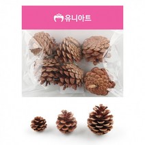 유니아트 천연솔방울, (대) 9cm, 6개