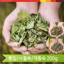 국내산 약초 개똥쑥 인진쑥 뽕잎 200g 건조 건강차, 뽕잎(12UF)