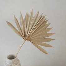 마리비 드라이플라워 팜리프 야자수잎 인테리어 소품, 내추럴