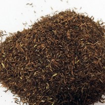 눈개승마(삼나물)씨앗 (종자) 10ml