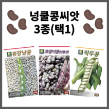 주주씨앗 넝쿨 콩 씨앗 3종 / 호랑이 콩 흰 작두콩 흰색 강낭 콩 종자 씨 다농, 넝쿨콩씨앗 3종세트